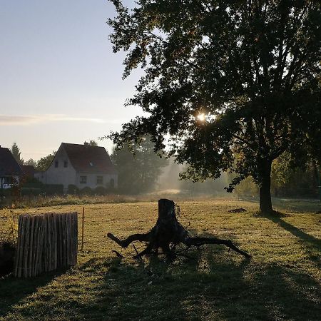 Ferienwohnung & Campingplatz Vor Dem Berg Heideblick Luaran gambar