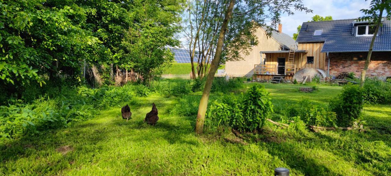 Ferienwohnung & Campingplatz Vor Dem Berg Heideblick Luaran gambar