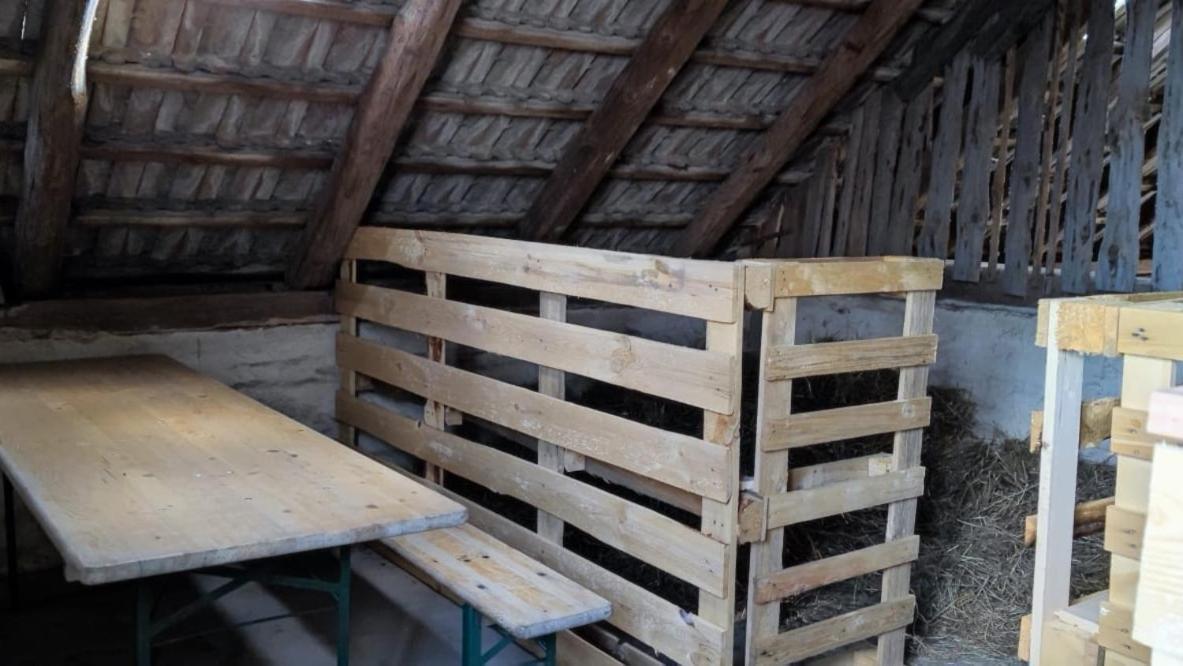 Ferienwohnung & Campingplatz Vor Dem Berg Heideblick Luaran gambar